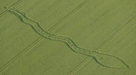 cropserpent