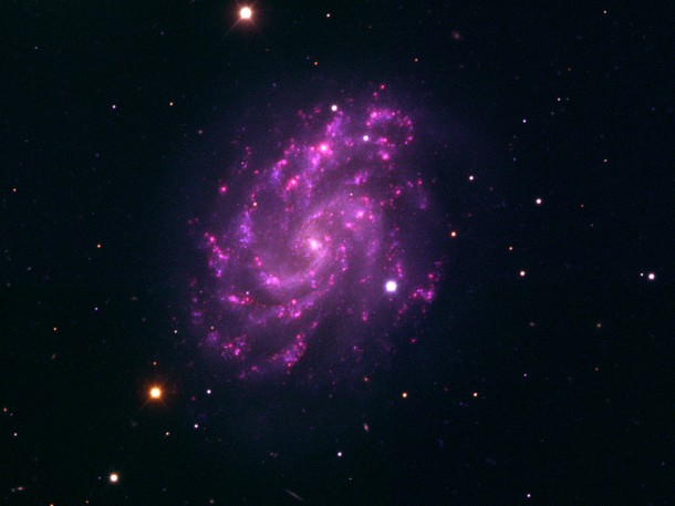 purpleroseofvirgo